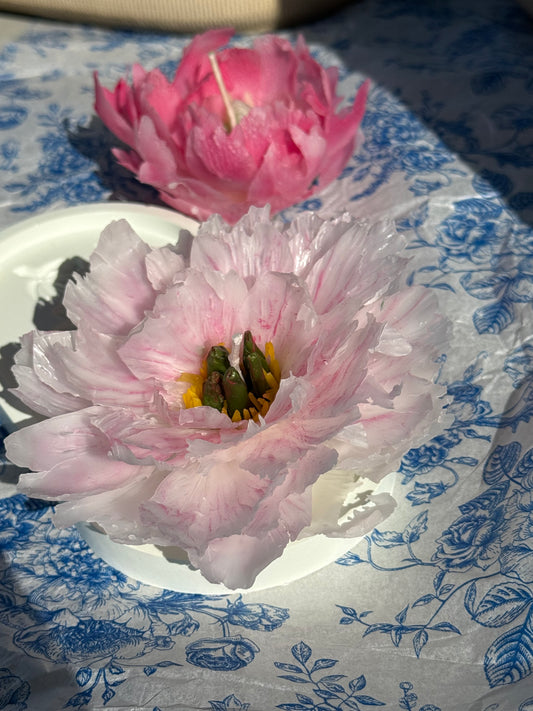 Aesthetic Realistic Coral Peony Flower Candle